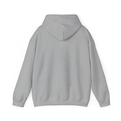 Lesbian Visibility hoodie by Moral Fabric — LGBTQ pride progressive streetwear Canada