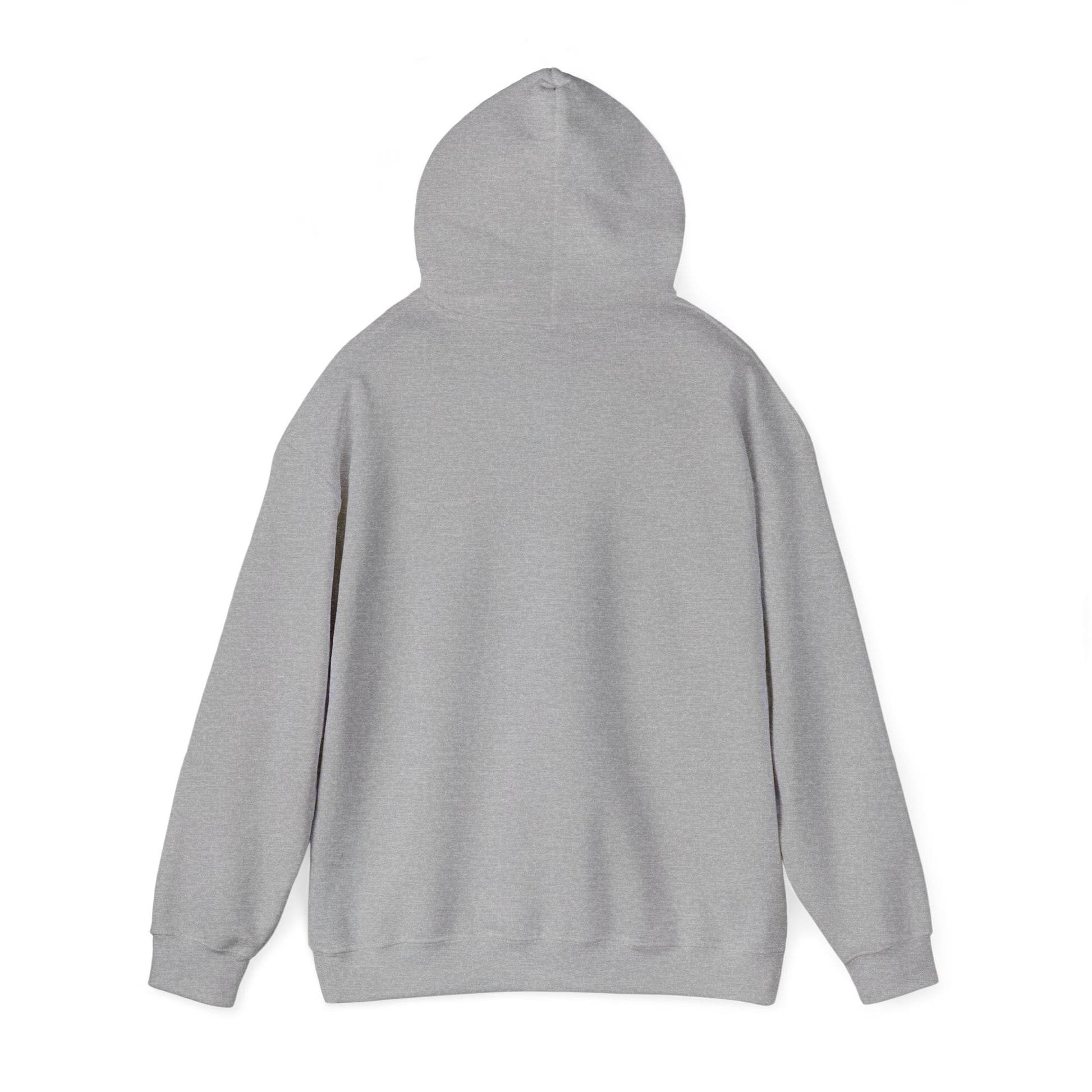 Lesbian Visibility hoodie by Moral Fabric — LGBTQ pride progressive streetwear Canada