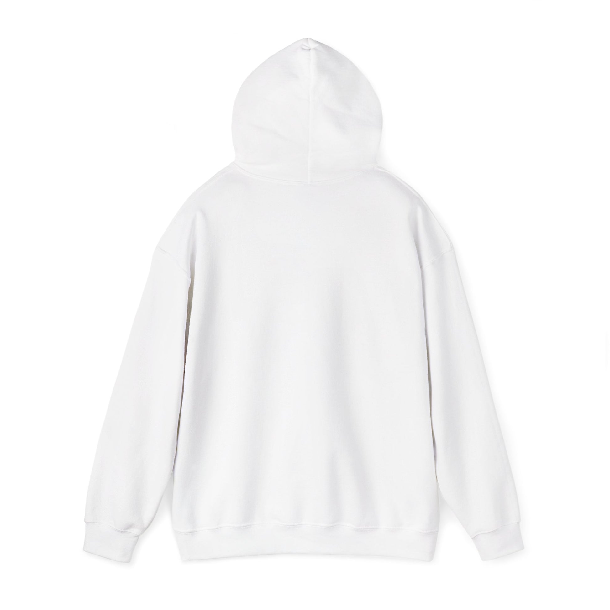 Lesbian Visibility hoodie by Moral Fabric — LGBTQ pride progressive streetwear Canada