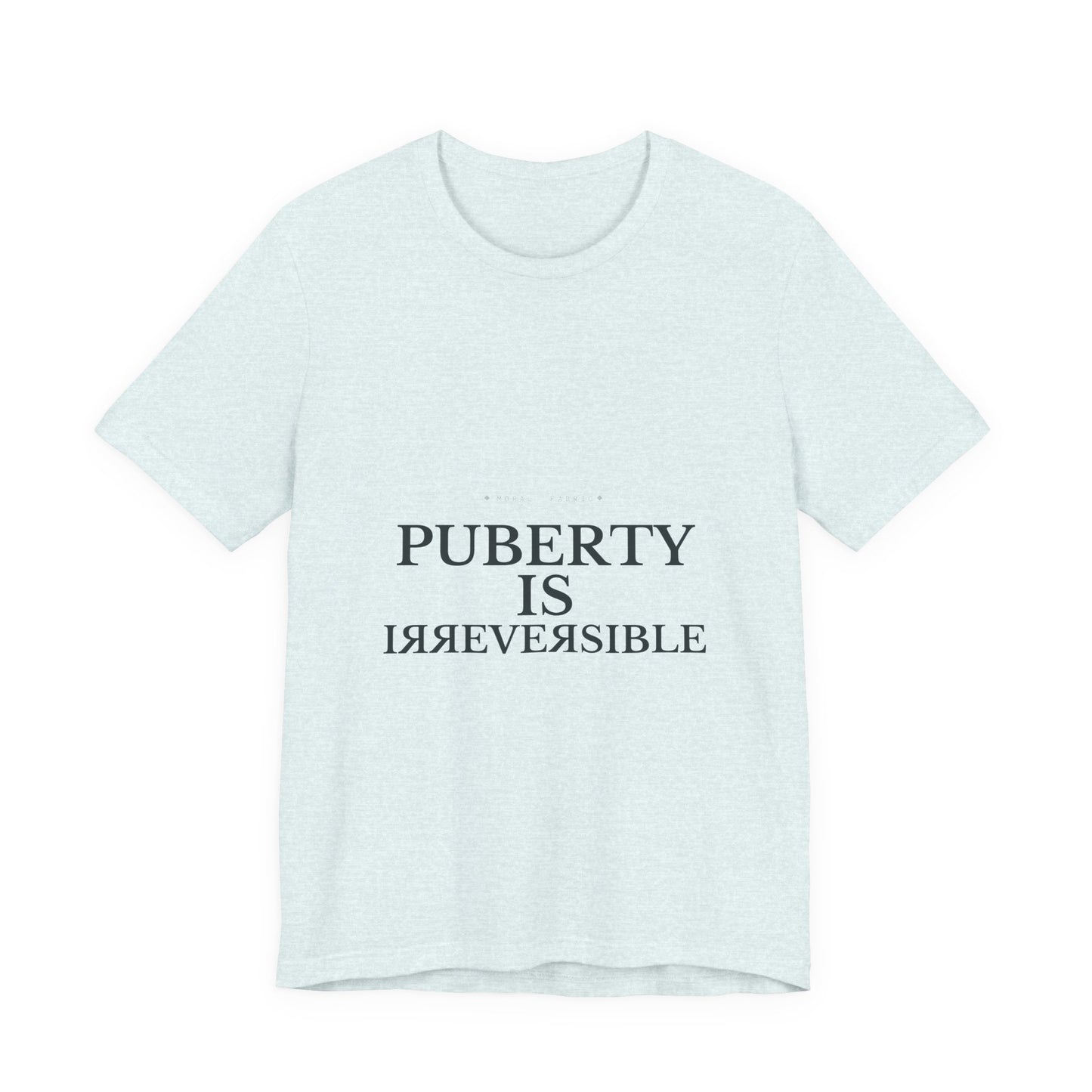Puberty Is Irreversible Tee