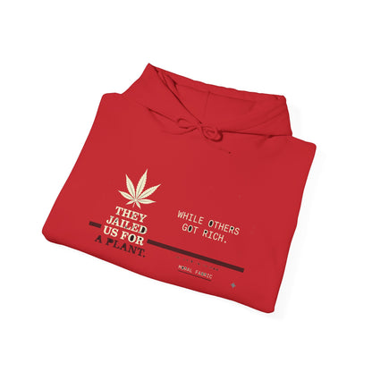 Section 4.20 Cannabis Justice Hoodie