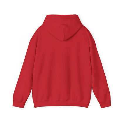 Gender Construct hoodie by Moral Fabric — trans rights LGBTQ political streetwear Canada