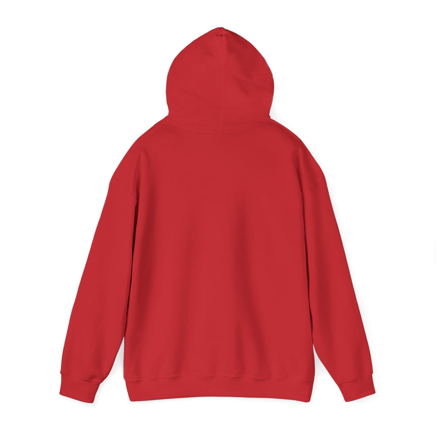 Section 4.20 Cannabis Justice Hoodie