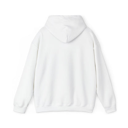1776 Called It Said No Kings hoodie by Moral Fabric — anti-authoritarian political streetwear Canada