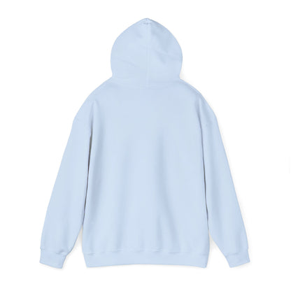 Lesbian Visibility hoodie by Moral Fabric — LGBTQ pride progressive streetwear Canada