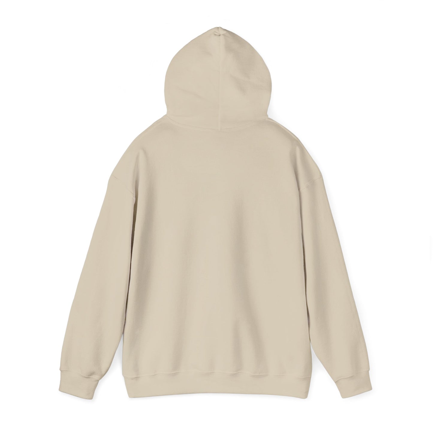 Rage Vote Repeat hoodie by Moral Fabric — progressive activist political streetwear Canada