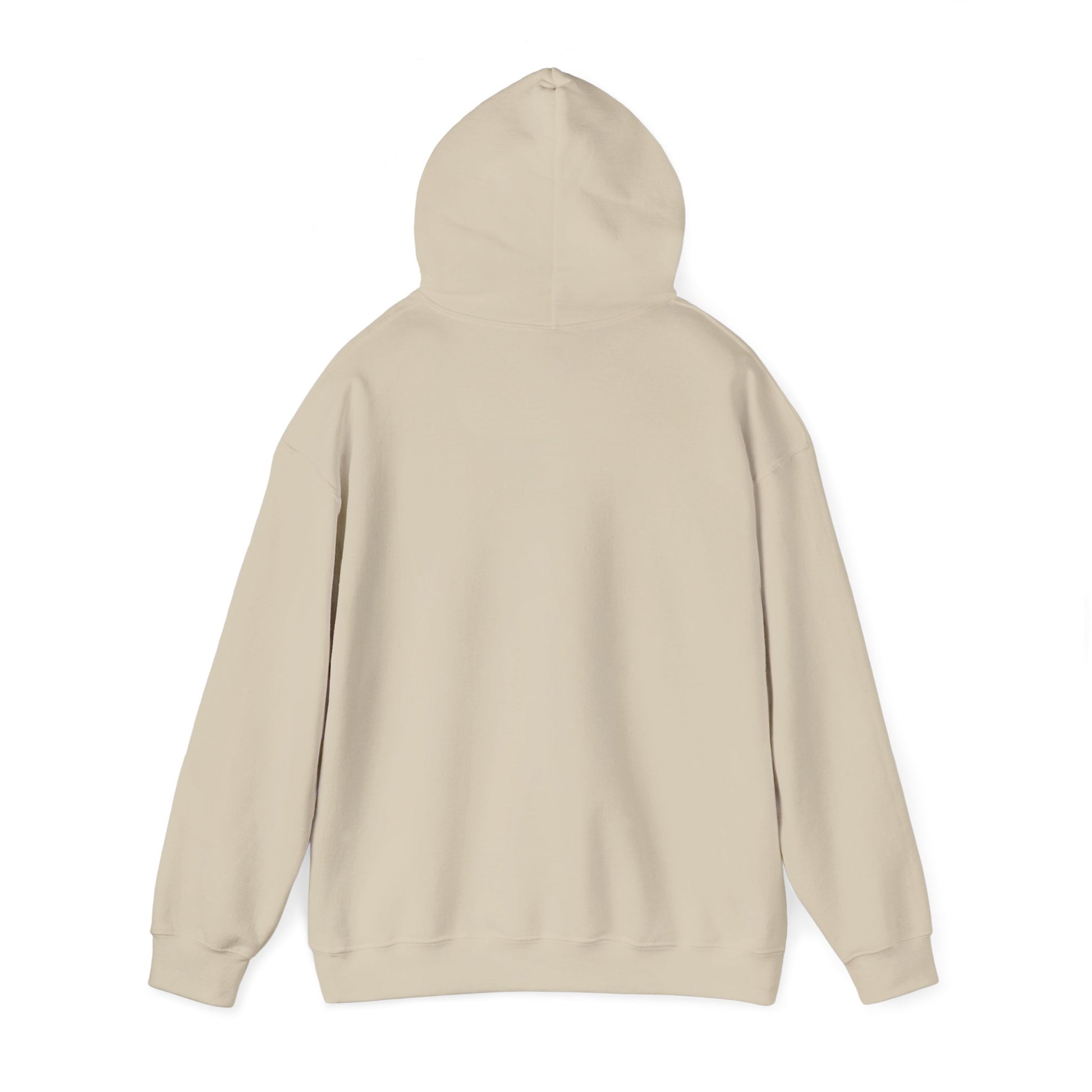 Rage Vote Repeat hoodie by Moral Fabric — progressive activist political streetwear Canada
