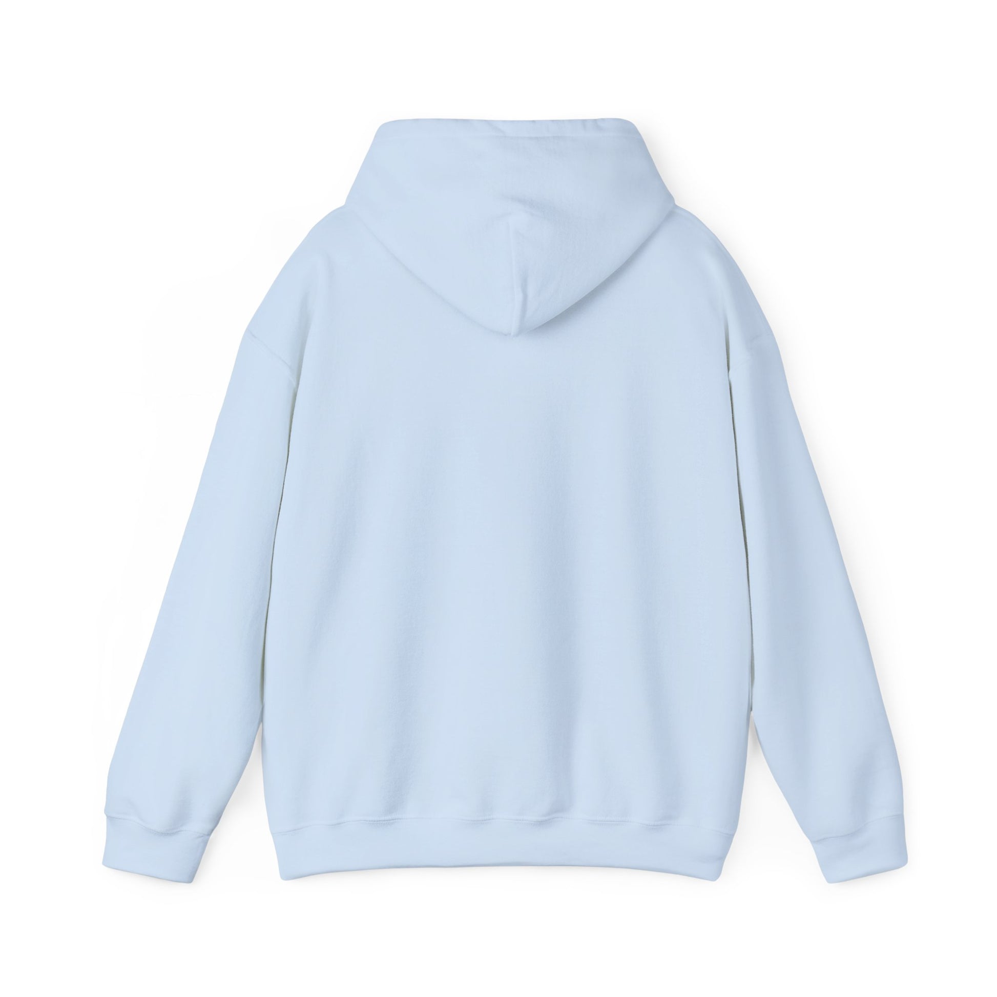 Lesbian Visibility hoodie by Moral Fabric — LGBTQ pride progressive streetwear Canada