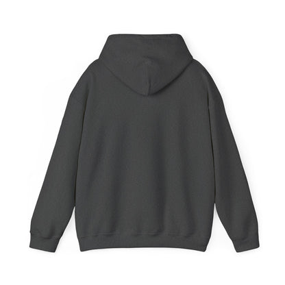 Rage Vote Repeat heavy blend hoodie by Moral Fabric — progressive political streetwear Canada