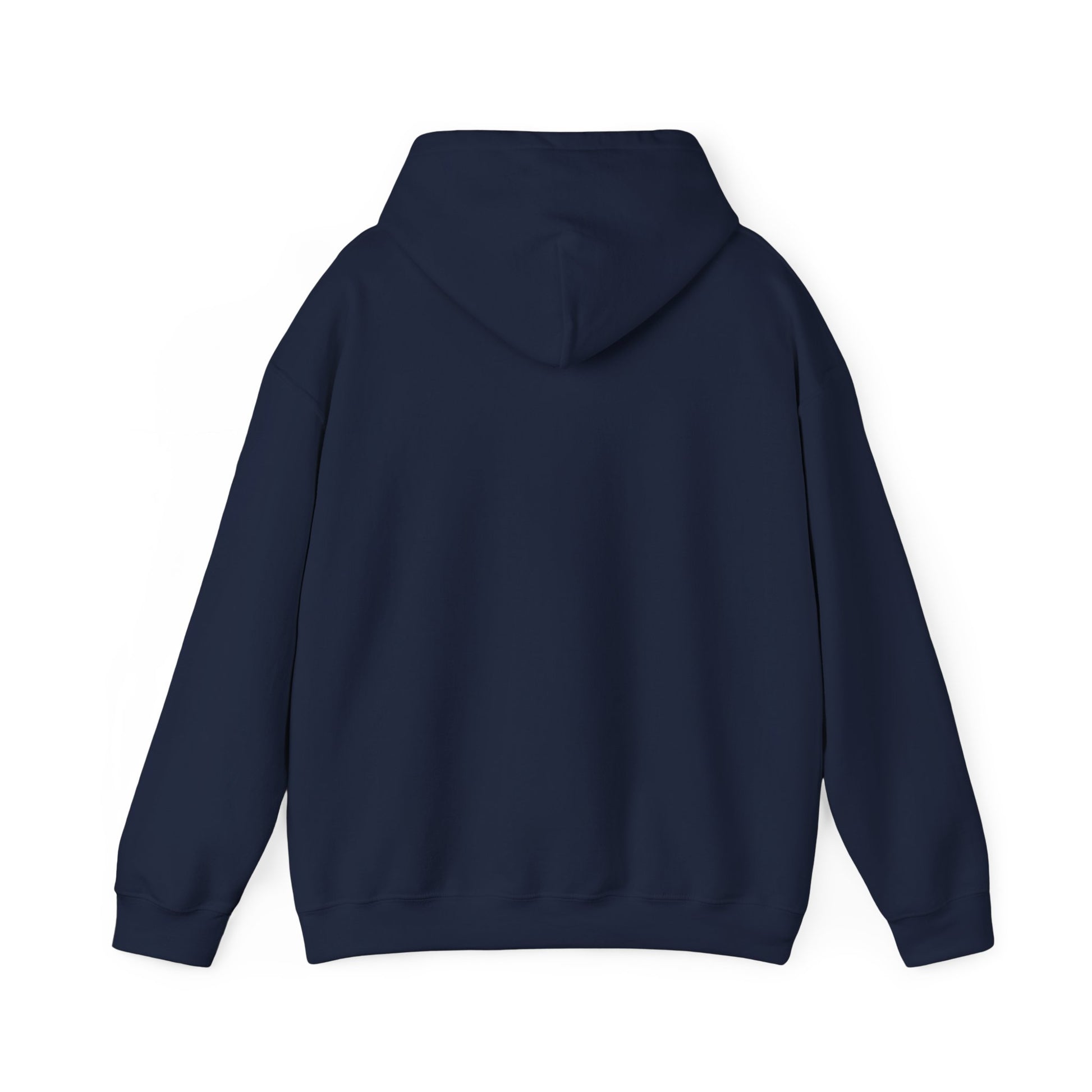 Rage Vote Repeat heavy blend hoodie by Moral Fabric — progressive political streetwear Canada