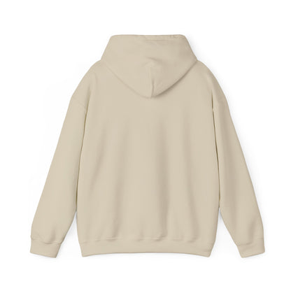 Lesbian Visibility hoodie by Moral Fabric — LGBTQ pride progressive streetwear Canada