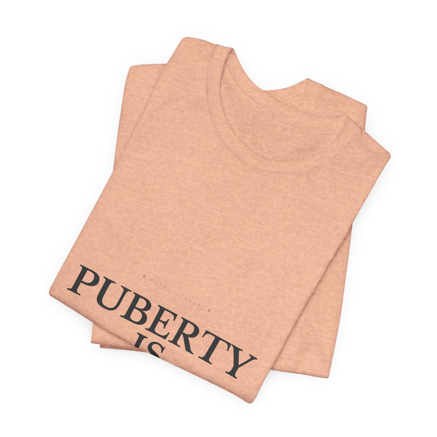 Puberty Is Irreversible Tee