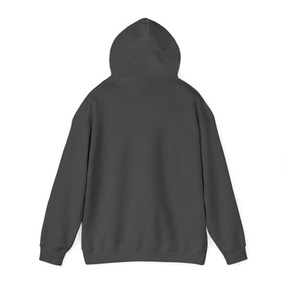 Lesbian Visibility Week hoodie by Moral Fabric — LGBTQ pride political clothing Canada