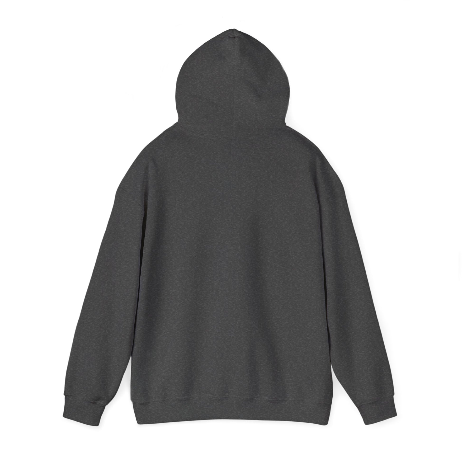 Rage Vote Repeat heavy blend hoodie by Moral Fabric — progressive political streetwear Canada