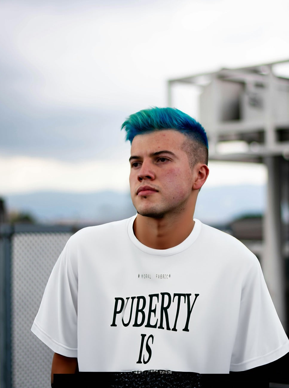 Puberty Is Irreversible Tee
