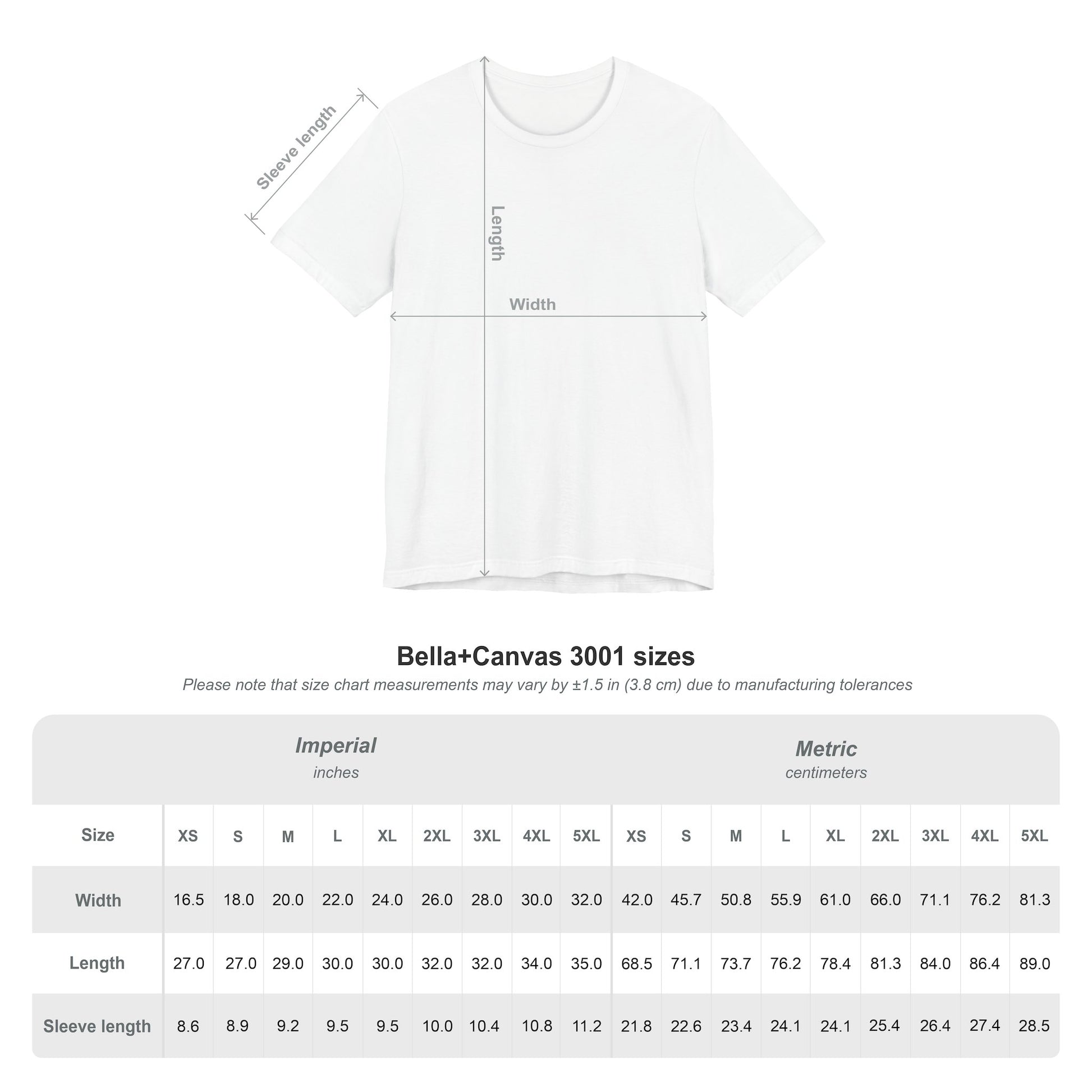 Fighting Injustice and Inequality t-shirt by Moral Fabric — social justice activist tee Canada